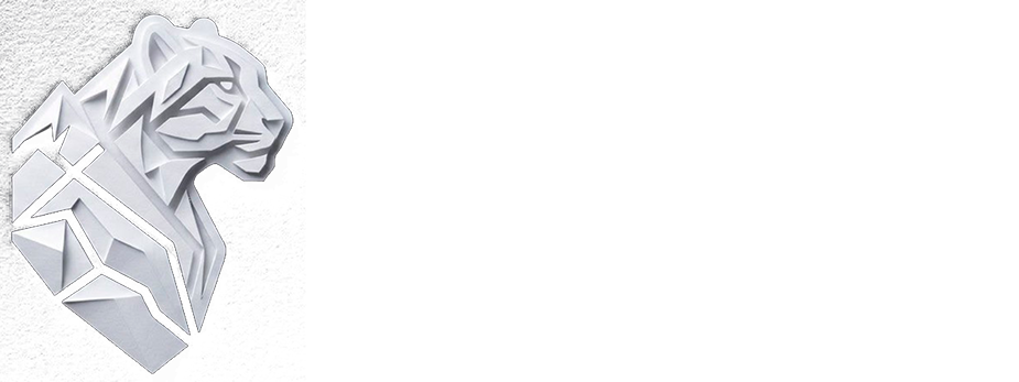 BarsDMC